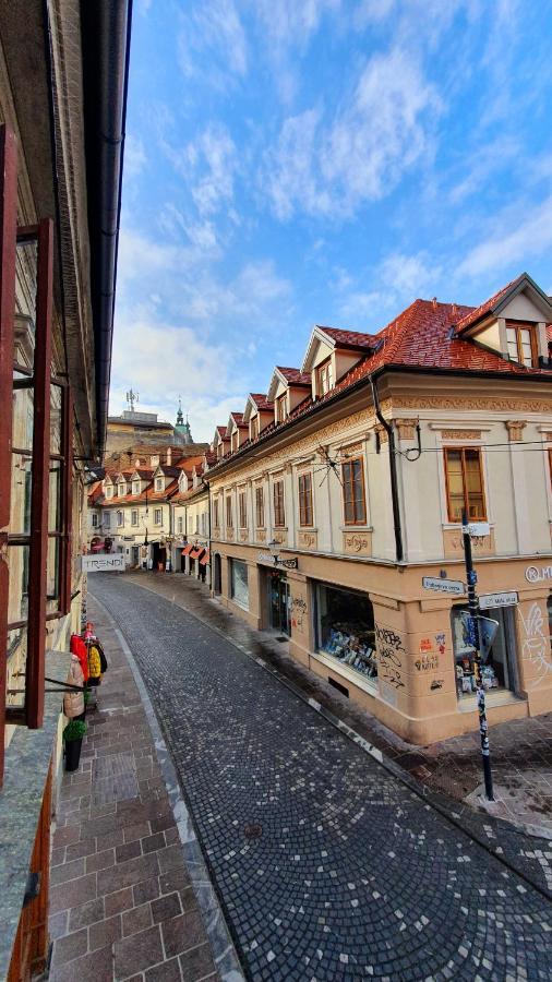 Petkovsek Rooms And Apartments Любляна Екстериор снимка
